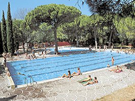 Camping Belvedere Pineta